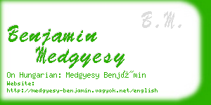 benjamin medgyesy business card